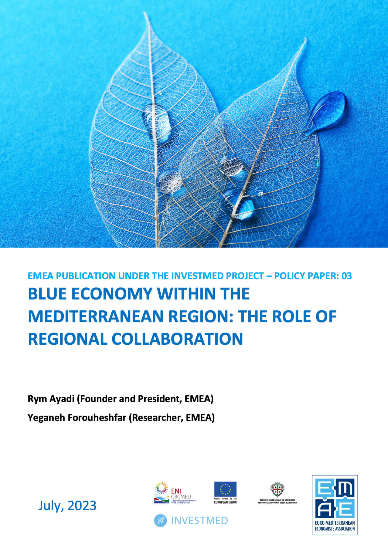 Blue economy within the Mediterranean region: the role of regional
